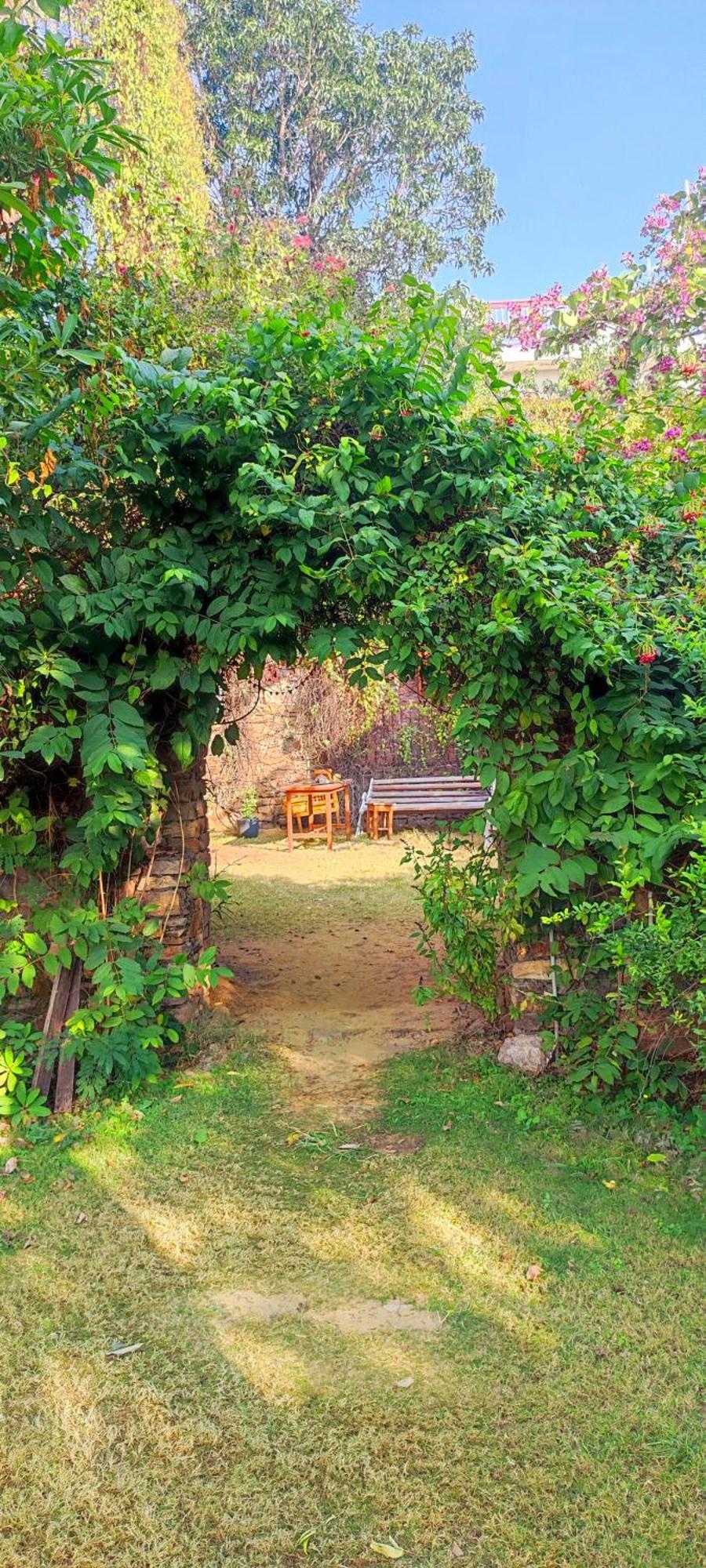 The Secret Garden Bed & Breakfast Pushkar Bagian luar foto