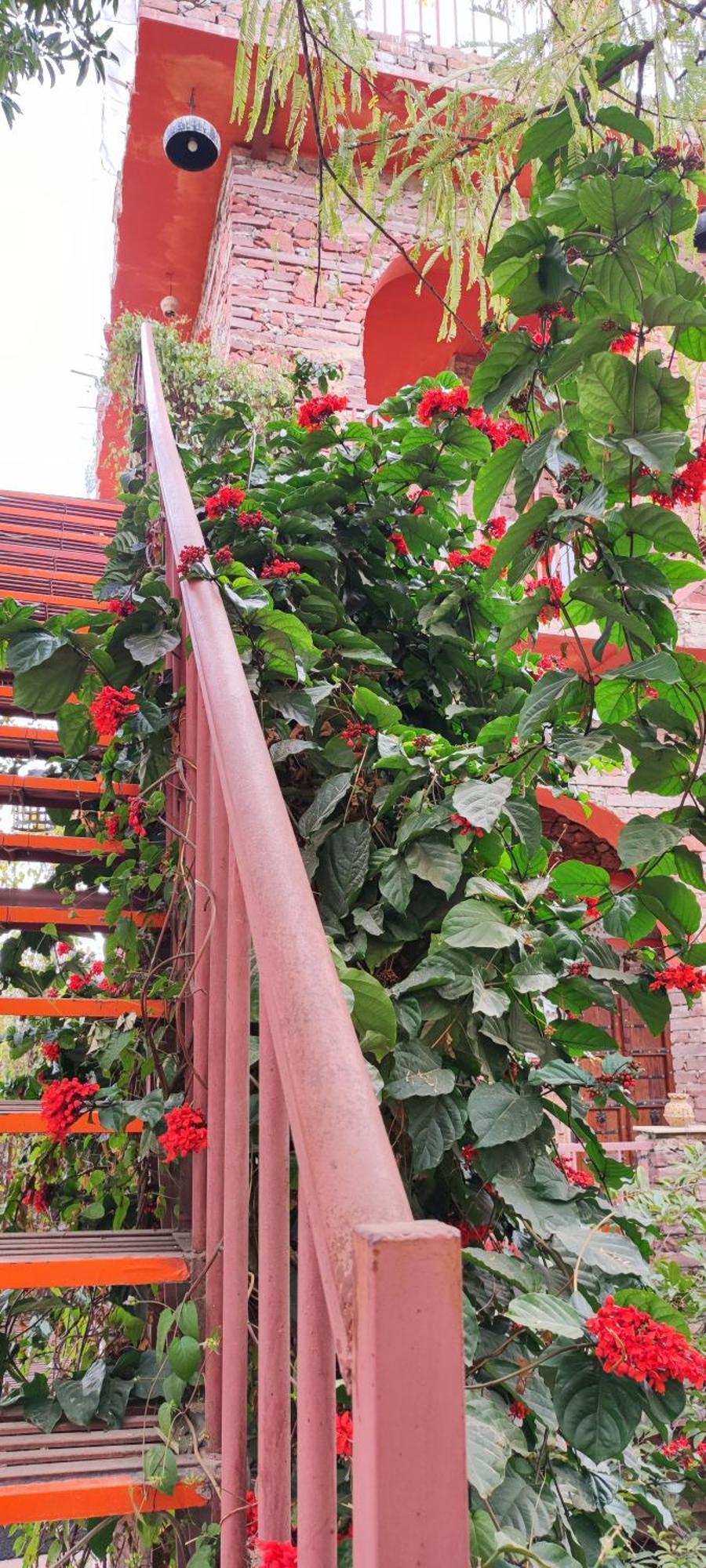 The Secret Garden Bed & Breakfast Pushkar Bagian luar foto