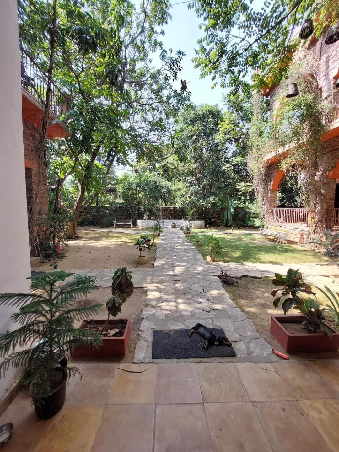 The Secret Garden Bed & Breakfast Pushkar Bagian luar foto