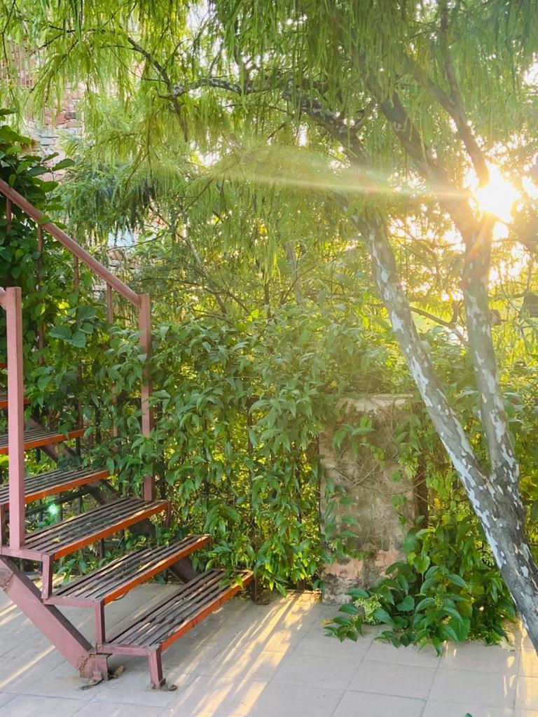 The Secret Garden Bed & Breakfast Pushkar Bagian luar foto