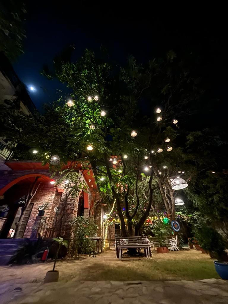 The Secret Garden Bed & Breakfast Pushkar Bagian luar foto