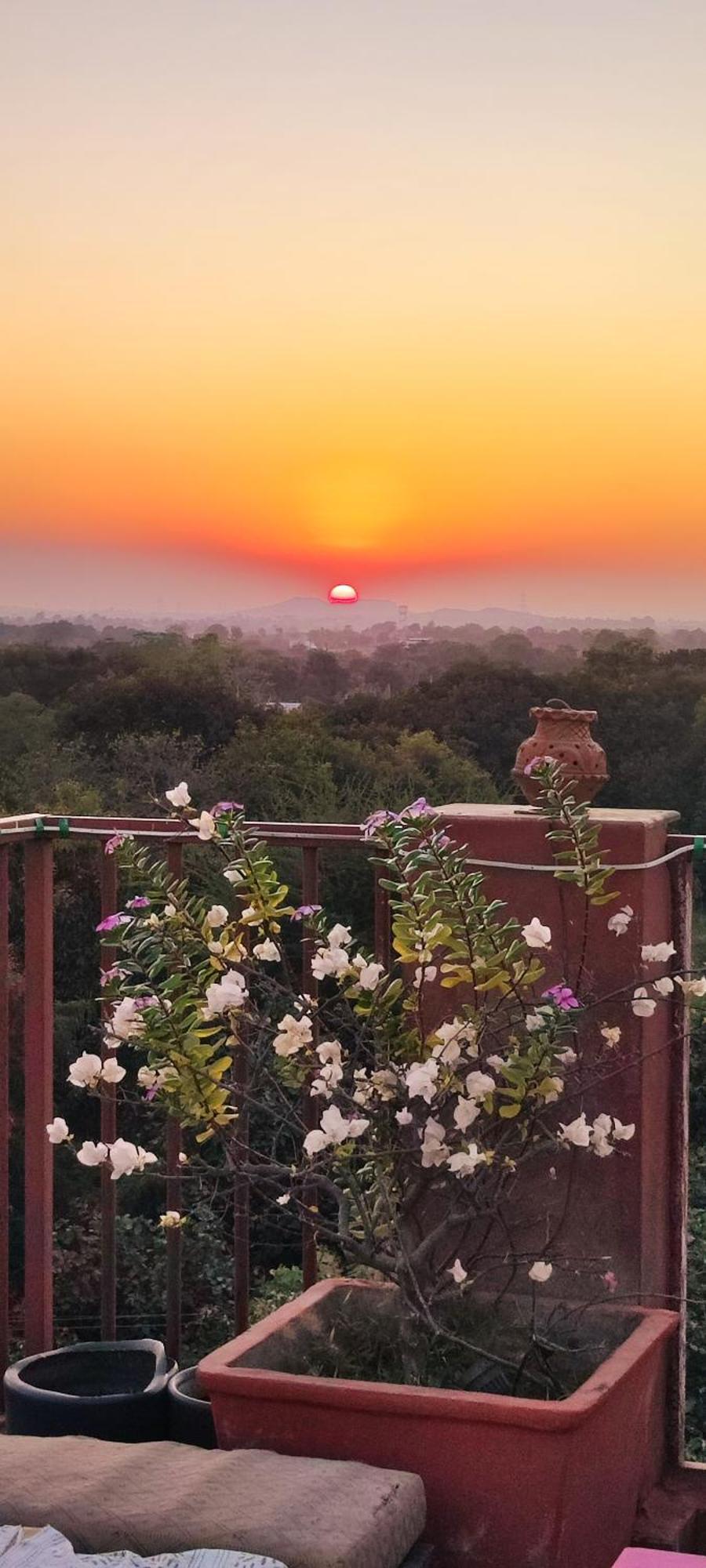 The Secret Garden Bed & Breakfast Pushkar Bagian luar foto